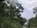 47956CIMG4293.JPG