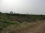50436CIMG1065.JPG