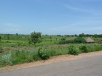 19568P1010415.JPG