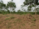 50667CIMG1296.JPG