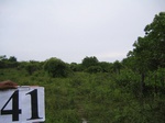 1049241-cropland-chena-abandoned-b.gif