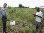 12308GT207_mais_cassava.JPG