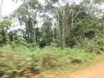 47378CIMG3715.JPG