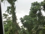 49949CIMG6286.JPG