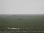 54502DSCN1784.JPG