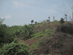 28305IMG_5111.JPG
