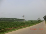 33131CIMG2367.JPG