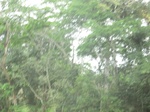 48360CIMG4697.JPG