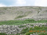 34646PEWA07PP1N.jpg