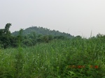 32910CIMG2051.JPG