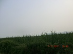 32813CIMG1945.JPG