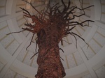 14884IMG_5278.JPG