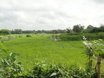 24518DSC00436.JPG