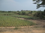 27848IMG_4801.JPG
