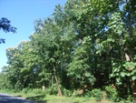 33573RIMG0238.JPG
