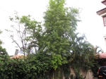 14260IMG_4600.JPG