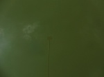 58238CIMG2685.JPG