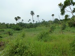 18629P1000467.JPG