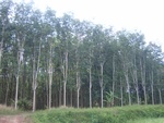 33716RIMG0334.JPG