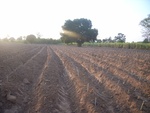 28090RIMG0145.JPG