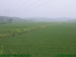 1174R0015036_tag.jpg
