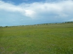 38129P1080054.JPG