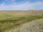 37323CIMG1125.JPG