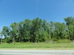 35516DSC03032.JPG