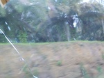 50006CIMG6343.JPG