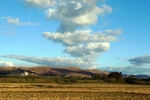 28567P1010583-1.JPG
