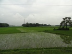 22073DSC00306.JPG