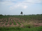 34465IMG_5448.JPG