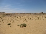 36716CIMG0485.JPG