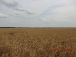 29444CIMG0723.JPG