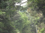 16404IMG_5189.JPG