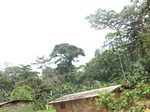 49376CIMG5713.JPG