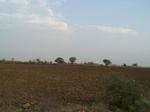 533301052008(28).JPG