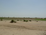 19189P1010035.JPG