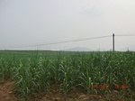 33089CIMG2324.JPG