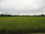 26128DSC01169.JPG