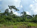 20146P1010997.JPG