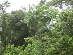 49565CIMG5902.JPG