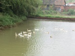 51656CIMG0453.JPG