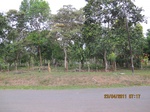 31903IMG_5324.JPG