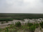 53830CIMG0379.JPG