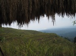 15869IMG_4415.JPG