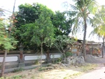 30913CIMG0769.JPG