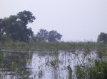 1437R0015168_small.jpg