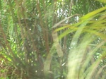 48504CIMG4841.JPG