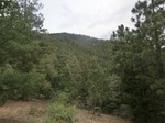 38240CIMG1543.JPG